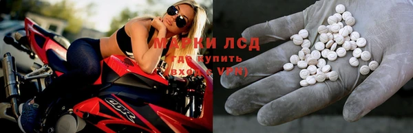 гидра Аркадак