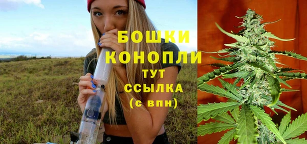 гидра Аркадак
