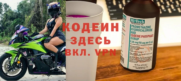 гидра Аркадак