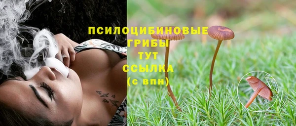 прущая мука Армянск