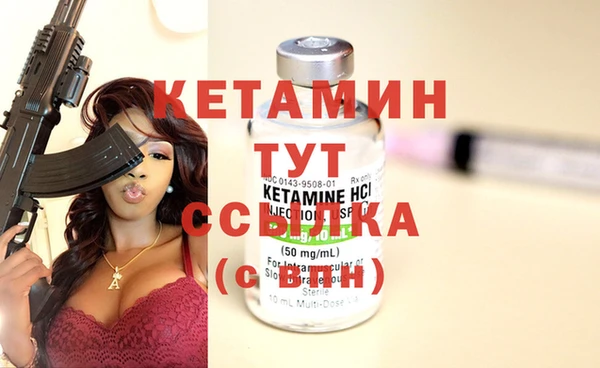 гидра Аркадак