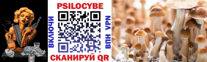 Галлюциногенные грибы MAGIC MUSHROOMS МЕГА как войти Байкальск